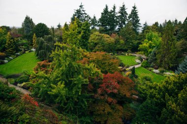 Vancouver Kraliçesi Elizabeth Park, Kanada