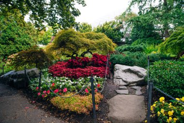 Vancouver Kraliçesi Elizabeth Park, Kanada