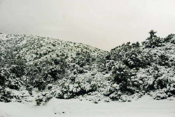 Pliez le long d'une route enneigée dans un cadre montagneux en hiver — Photo