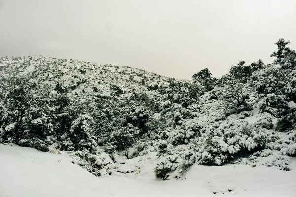 Pliez le long d'une route enneigée dans un cadre montagneux en hiver — Photo