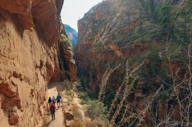 Zion Ulusal Parkı, Utah 'ın güneybatısında, Springdale yakınlarında bulunan bir Amerikan milli parkı.