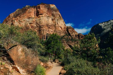 Zion Ulusal Parkı, Utah 'ın güneybatısında, Springdale yakınlarında bulunan bir Amerikan milli parkı.