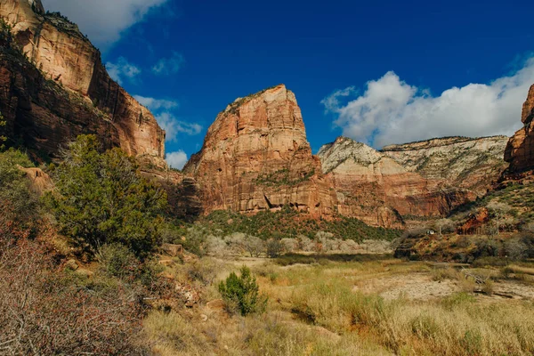 Національний парк Сіон (англ. Zion National Park) - національний парк у південно-західній Юті поблизу міста Спрінгдейл. — стокове фото