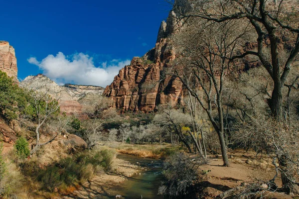 Zion National Park es un parque nacional estadounidense situado en el suroeste de Utah, cerca de la ciudad de Springdale. — Foto de Stock