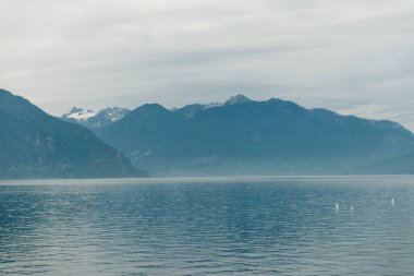 Howe Sound 'daki Horseshoe Körfezi' nin havadan panoramik görüntüsü. Batı Vancouver, İngiliz Kolombiyası, Kanada.