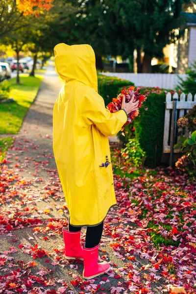 girl in a yellow raincoat holds red leaves in her hands. autumn