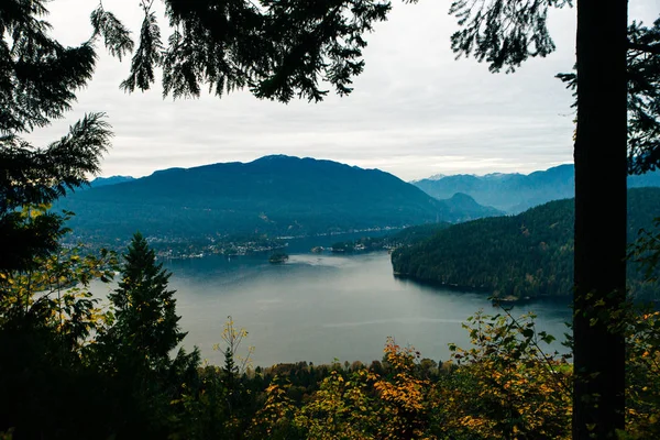 Vacker park på toppen av Burnaby Mountain med Vancouver City i bakgrunden. — Stockfoto