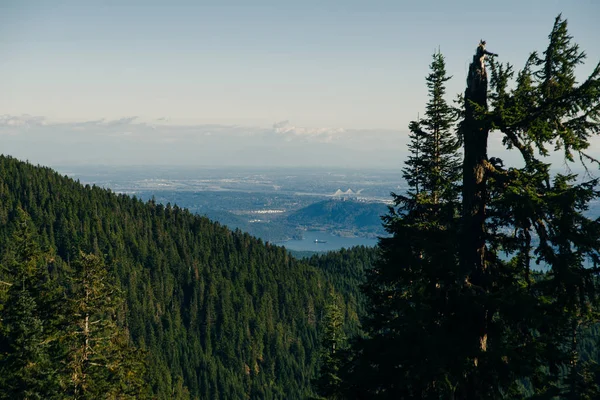 Vista aérea da montanha Grouse com centro da cidade. North Vancouver, BC, Canadá . — Fotografia de Stock