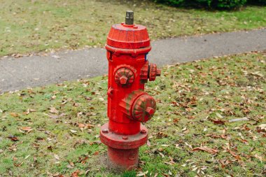 Kırmızı musluğu yangın ayrıntı önleme sistemi ile dışarı odak ahşap arka planda yeşil