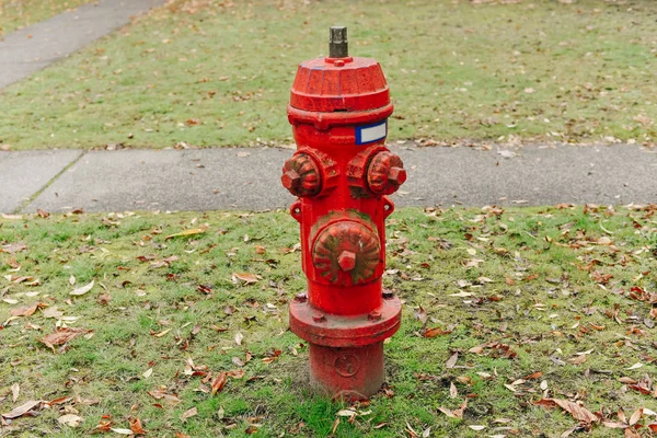 배경에서 초점 나무 녹색 빨간 소화 전 화재 세부 방지 시스템 — 스톡 사진