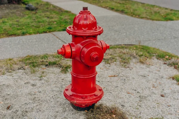 Tűzcsap piros tűz részletesen megelőzési rendszer zöld háttérben hangsúlyt fából — Stock Fotó