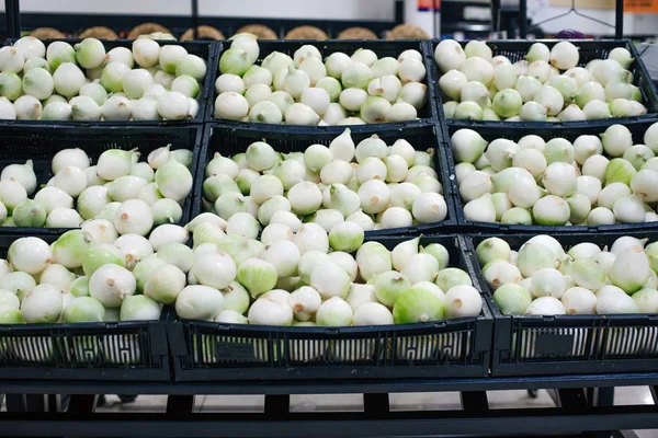 Świeże organiczne cebule w supermarkecie — Zdjęcie stockowe
