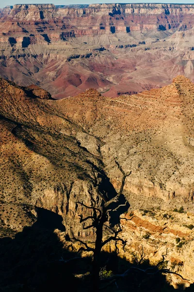 Uitzicht over de Grand Canyon vanaf de zuidelijke rand — Stockfoto