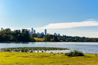 Deer Lake Park, Burnaby, Bc, Kanada - Aralık, 2019