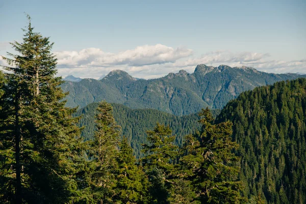 MOUNTAINS E folhagem florestal em um parque Vancouver, Colúmbia Britânica, Canadá — Fotografia de Stock