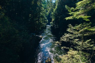 Capilano Nehri, Vancouver, Kanada, arka planda dağlar olan yemyeşil, ağaçlık bir vadiden geçiyor..