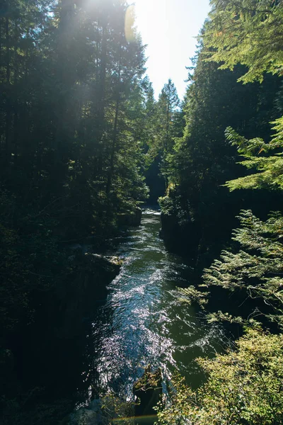 Capilano River, Vancouver, Canada, running through a lush, wooded valley, with mountains in the background. — 스톡 사진