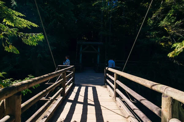 Ponte Capilano, Vancouver, Canadá, correndo por um vale exuberante e arborizado, com montanhas ao fundo . — Fotografia de Stock