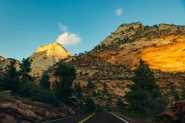 Strada su Zion National Park è un parco nazionale americano situato nel sud-ovest dello Utah vicino alla città di Springdale — Foto Stock