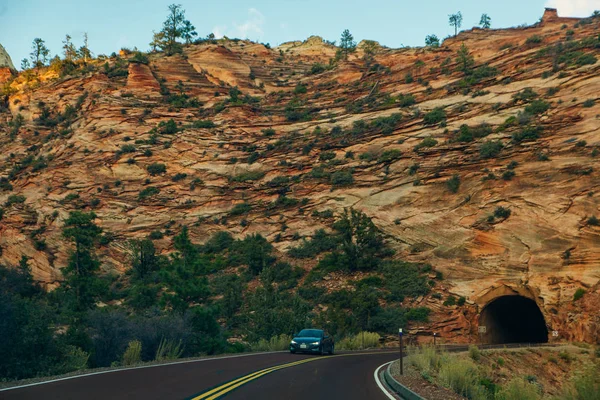 Út Zion Nemzeti Park egy amerikai nemzeti park található délnyugat Utah közelében város Springdale — Stock Fotó