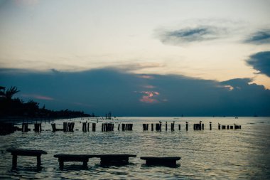 Holbox Adası gün batımı Meksika 'da tropikal plaj palmiyesi