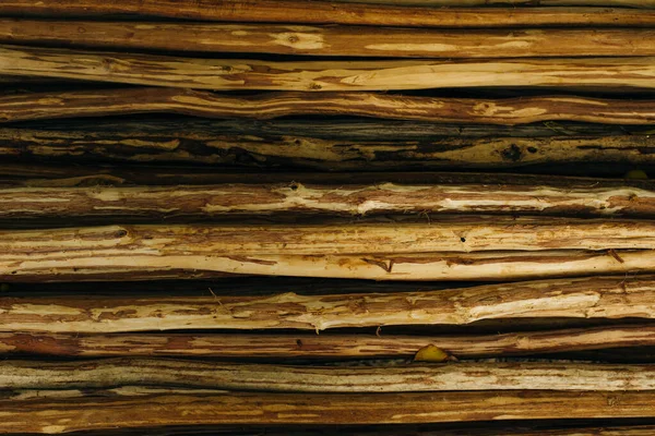 Pine stick texture. Wooden background of pines for design — Stock Photo, Image