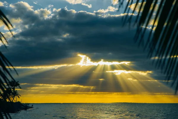 Холбокс остров заката пляжа пальмы тропические в Мексике — стоковое фото