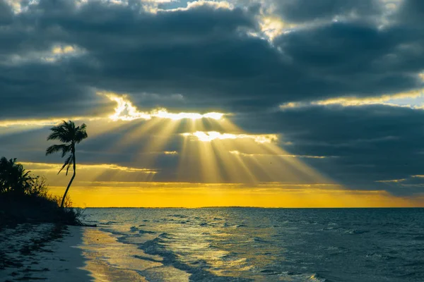 Wyspa Holbox zachód słońca plaża palma drzewo tropikalne w Meksyku — Zdjęcie stockowe