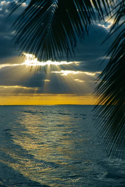 Holbox Insel Sonnenuntergang Strand Palme tropischen in Mexiko — Stockfoto