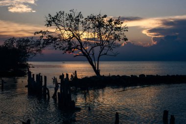 Holbox Adası gün batımı Meksika 'da tropikal plaj palmiyesi