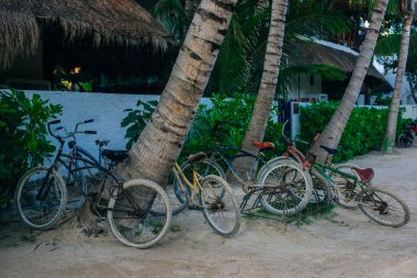 Meksika 'daki Holbox adasında turistler için bisikletler