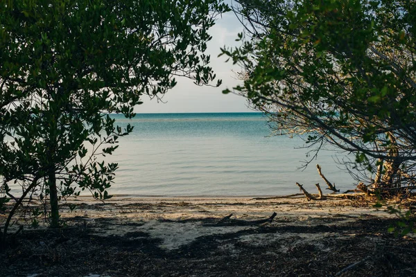 Natürliche Ansicht der schönen Holbox in Mexiko — Stockfoto