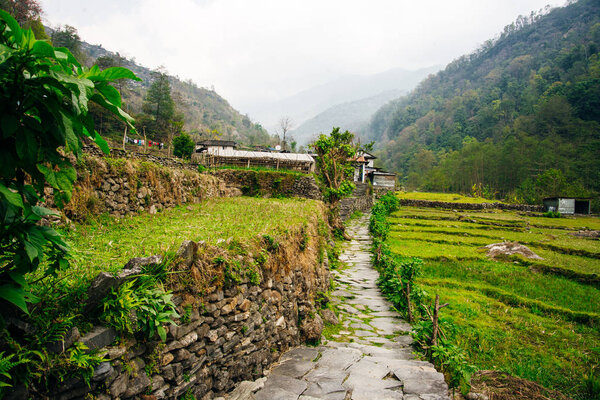  route to Annapurna base camp with background of the mountain forest and Nepali local tribe village