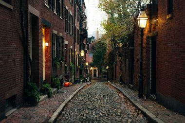 Boston, ABD - Şubat 2020 Acorn Sokağı Cadılar Bayramı Zamanı