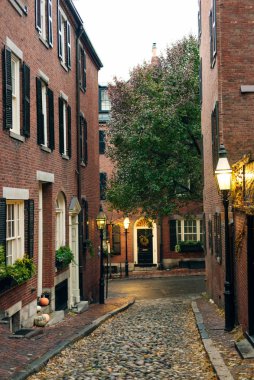Boston, ABD - Şubat 2020 Acorn Sokağı Cadılar Bayramı Zamanı