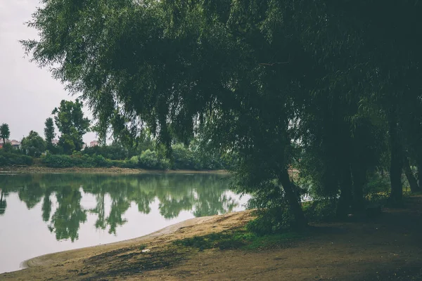 Zomer Vroege Herfst Park Met Vijver Rivier Treurwilg Bomen Aan — Stockfoto