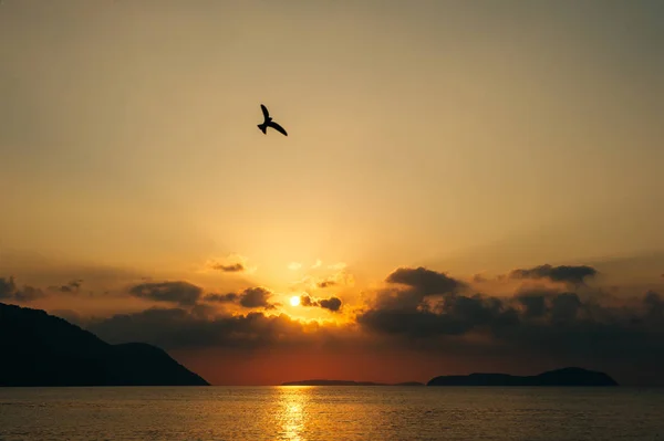 Krásné Krajiny Kalim Beach Patong Phuket Oblíbený Orientační Bod Pro — Stock fotografie