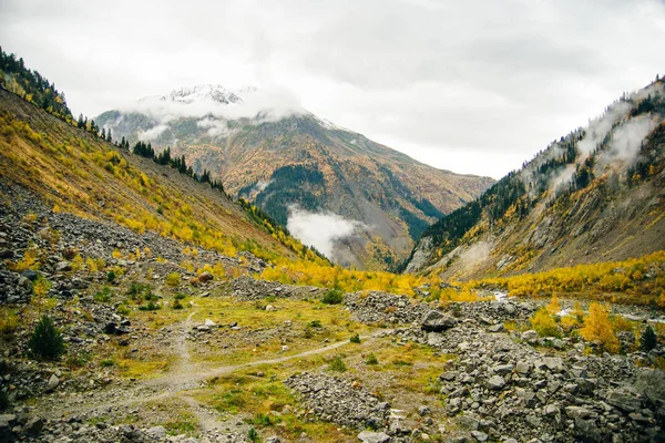 Glacier Chalaadi Proche Dans Région Svaneti Géorgie Caucase — Photo
