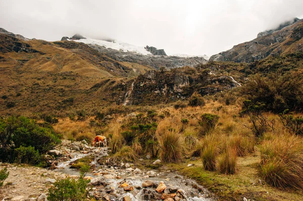 The view from the valley on the hiking path to Laguna 69, Peru