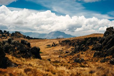 Cajamarca PERU 'da Cumbemayo' nun mistik kaya oluşumları.