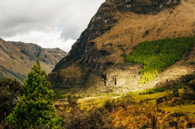 Cajamarca PERU 'da Cumbemayo' nun mistik kaya oluşumları.