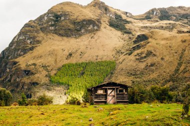 Cajamarca PERU 'da Cumbemayo' nun mistik kaya oluşumları.