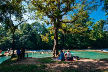 Agua Azul, Chiapas, Palenque, Meksika - 2019 Muhteşem Şelale Manzarası.