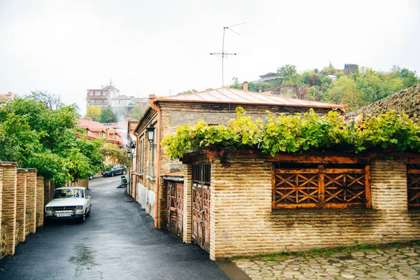 Signagi Alazani Vadisi Gürcistan Manzarası — Stok fotoğraf