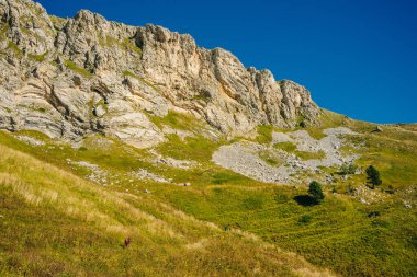 Adigea Cumhuriyeti Dağları, Rusya. Yavorova Polyana. Yürüme yolu ve Aygea 'nın güzelliği. Kafkas dağları. Kafkasya rezervi. Kafkas sırtı. Mountain Gölü. Lagonaki.