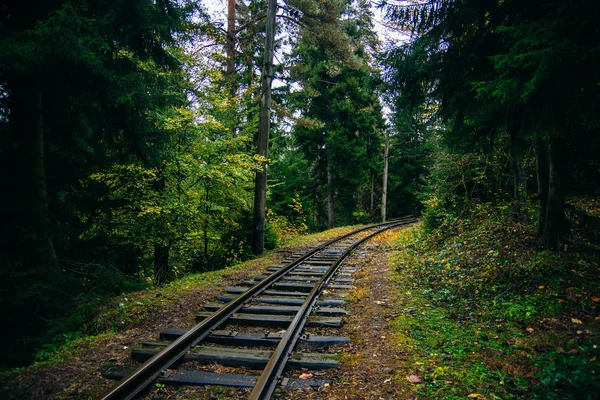 Carretera Ferroviaria Bosque Perspectiva Vía Férrea Serpenteando Través Del Bosque — Foto de Stock