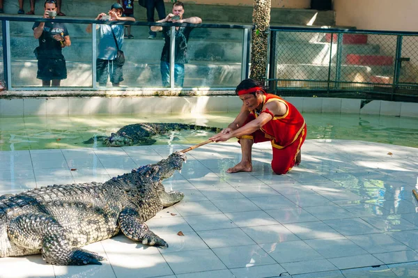 Thaiföld 2019 Július Krokodilbemutató Thaiföldi Samutprakarnban Található Krokodilfarmon Izgalmas Műsor — Stock Fotó