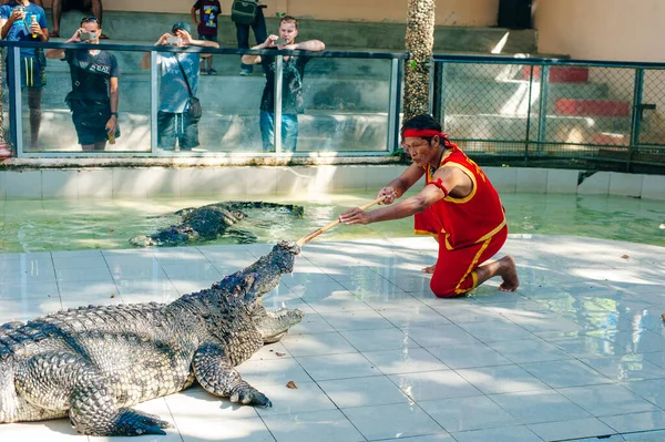 Thailand Juli 2019 Krokodillenshow Krokodillenboerderij Samutprakarn Thailand Deze Spannende Show — Stockfoto