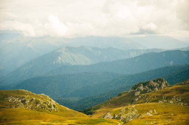Ormanda termos, yeşil tepelerde çay içmek. Su akıyor, küçük bir nehir. Doğa seyahati Rusya