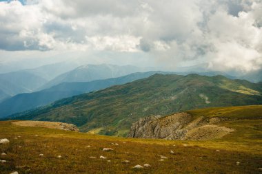 Ormanda termos, yeşil tepelerde çay içmek. Su akıyor, küçük bir nehir. Doğa seyahati Rusya